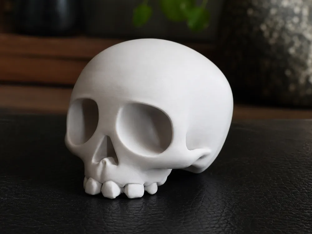 Simplified Skull image 1 of 12
